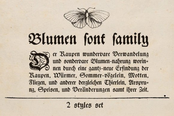 Blumen: Discover the Bold Elegance of Blackletter